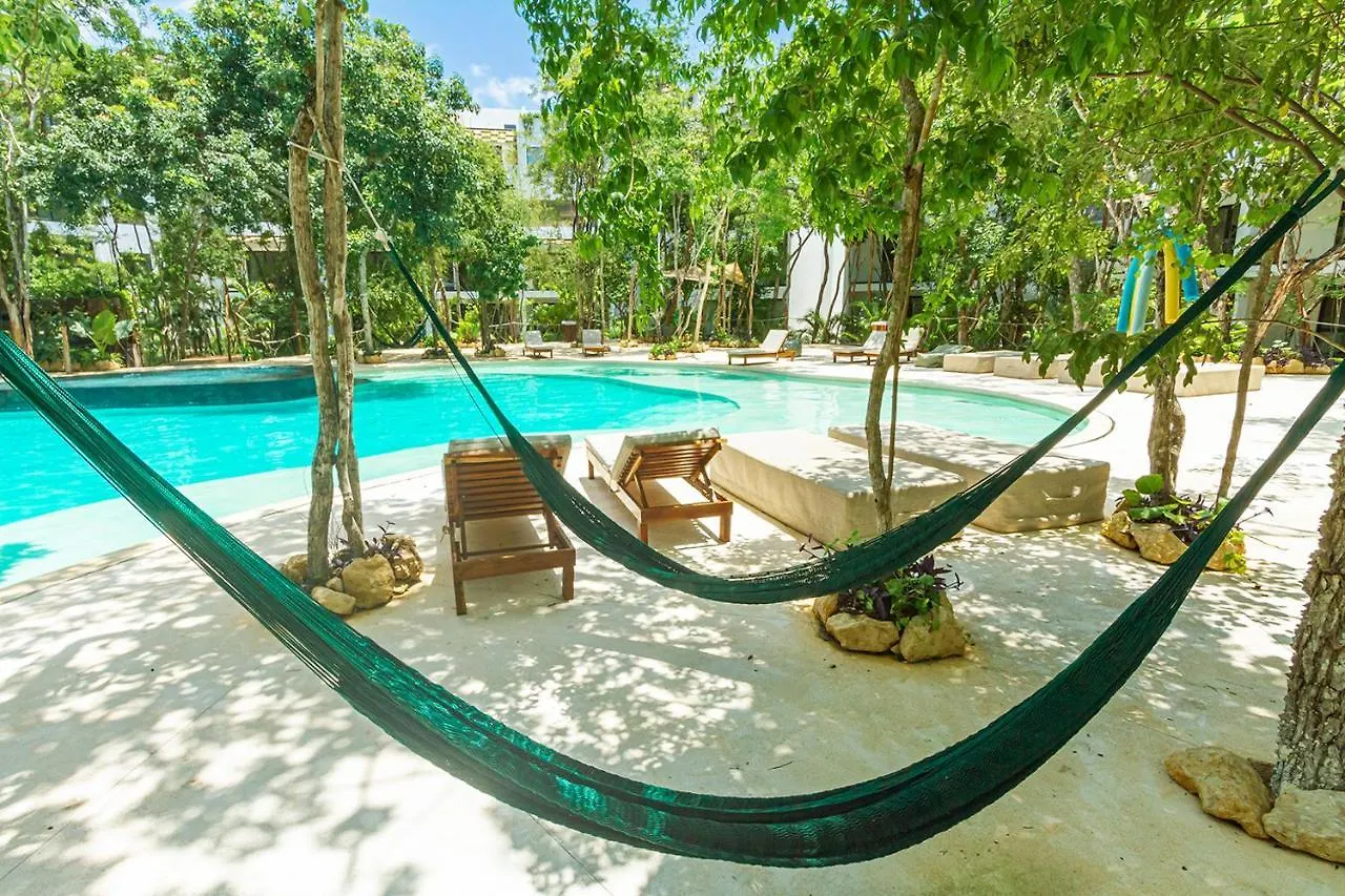 Enjoy Yaaxlum With So Many Amenities contacts